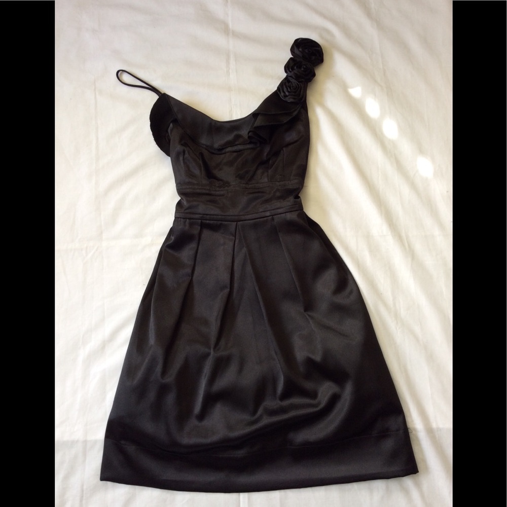 Appropriate behavior gown